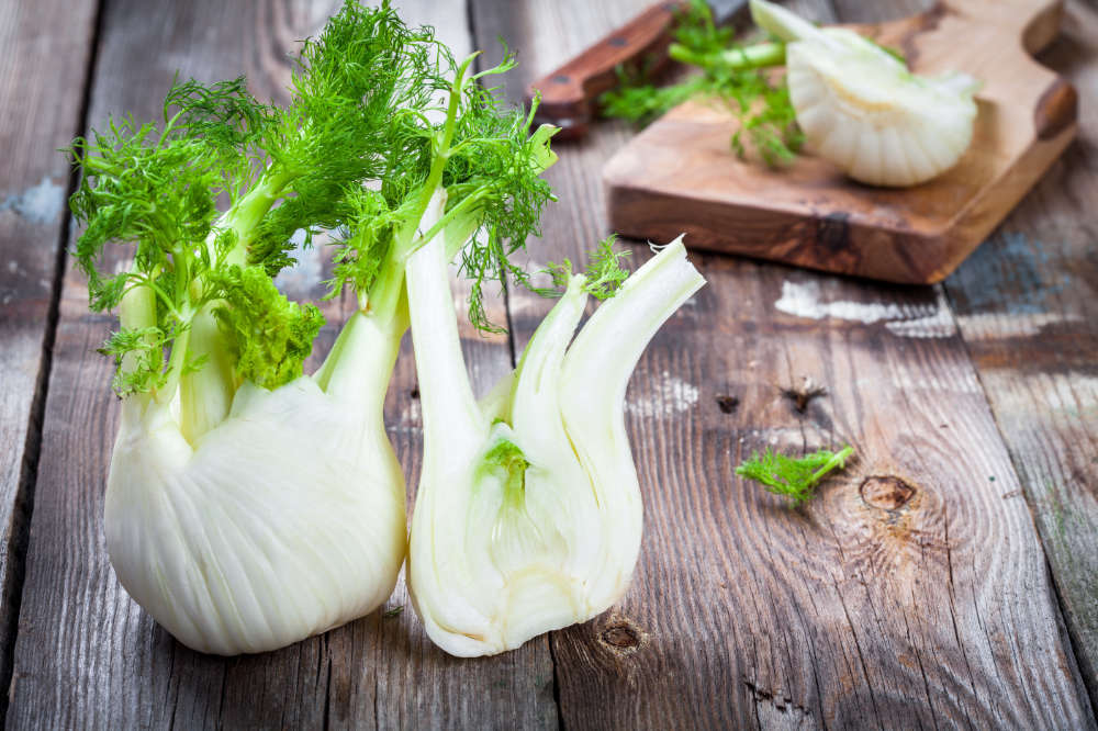 Fenchel ist gut für Kaninchen