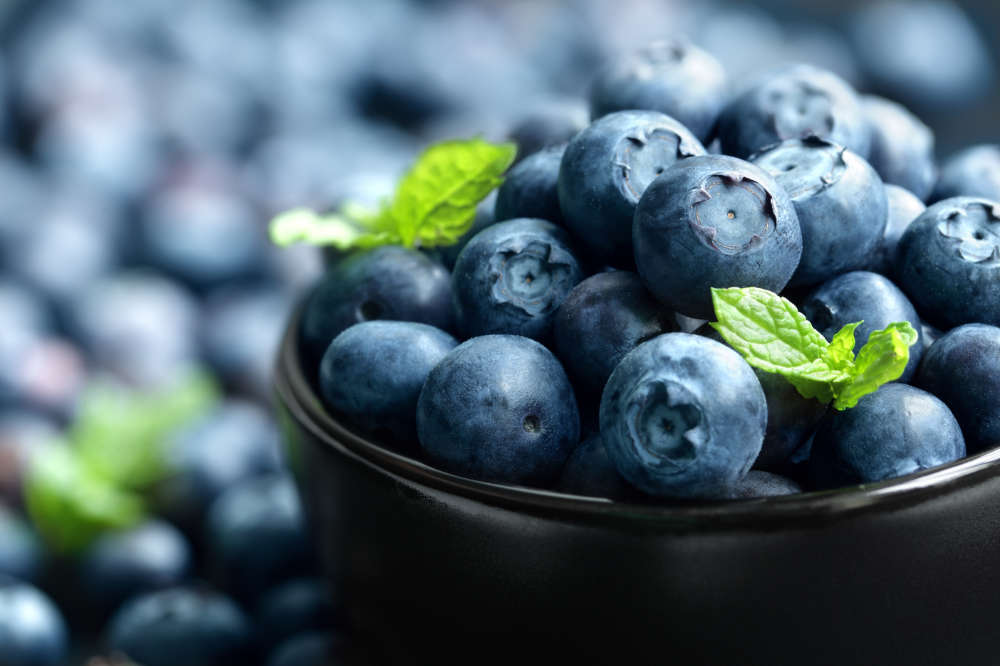 Dürfen Kaninchen Heidelbeeren essen