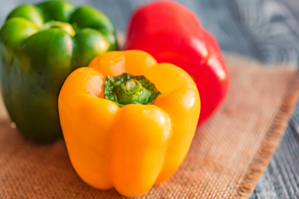 Paprika in verschiedenen Farben - dürfen Kaninchen diese essen?