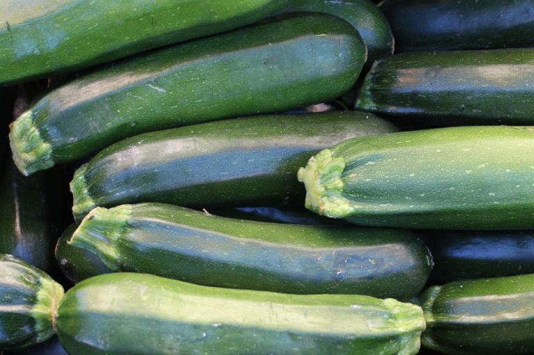 Leckere Zucchini, die auch für dein Kaninchen ein toller Snack sein können